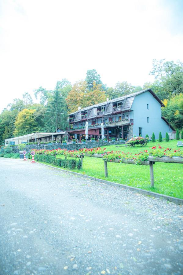Villa Hunter Vip Reghin Exterior foto