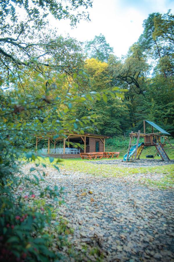 Villa Hunter Vip Reghin Exterior foto